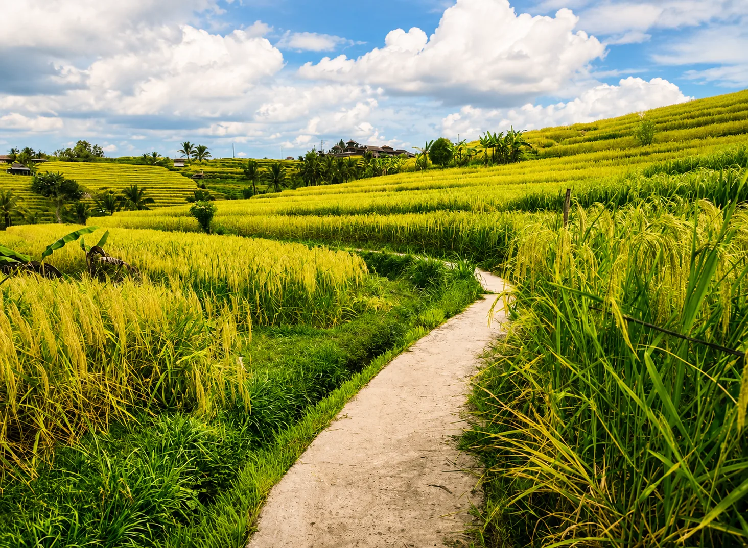 Individuelle Bali Privattour mit FBY Tours