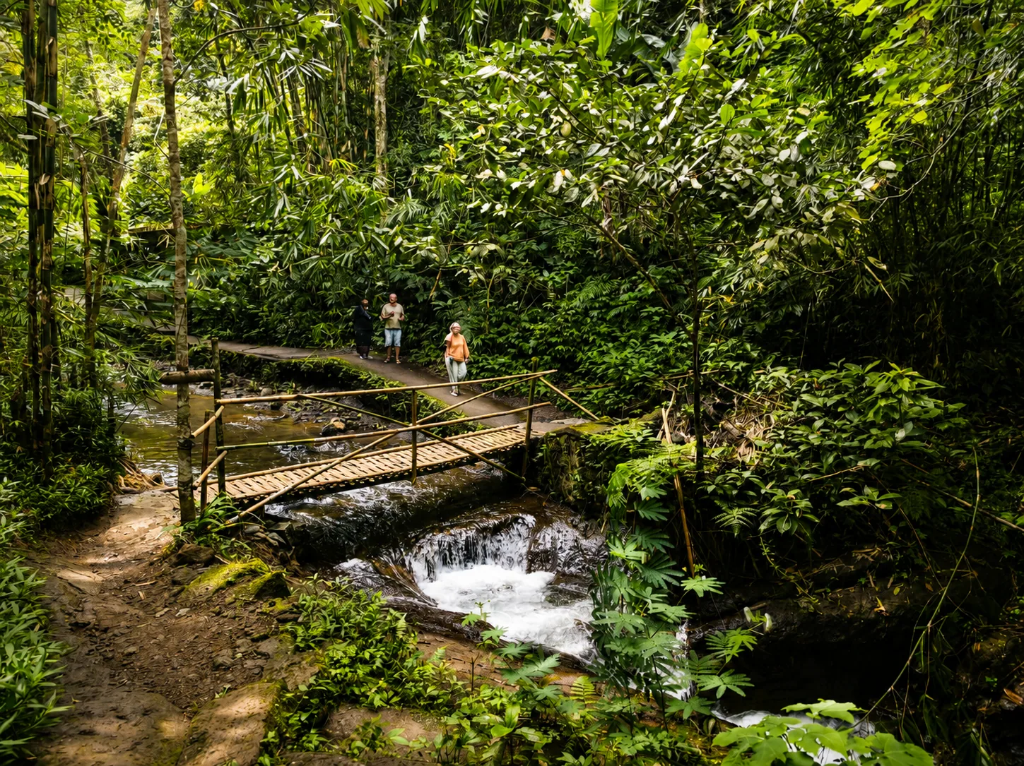 Circuit nature au nord de Bali avec cascade